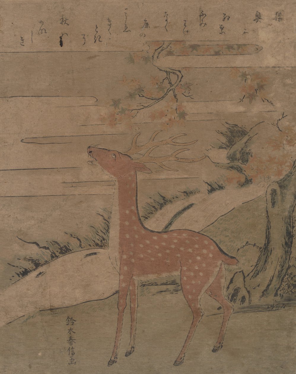 Il grido del cervo da Suzuki Harunobu