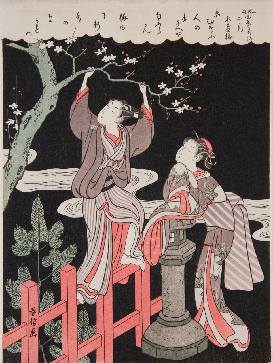 Primavera (febbraio). Un giovane stacca un ramo da un susino in fiore per la sua amata, dalla serie: Raffinate poesie delle quattro stagioni / Fūryū shiki kasen da Suzuki Harunobu