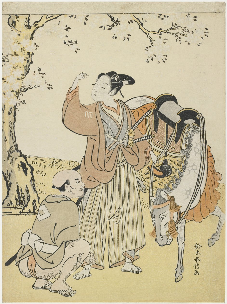 Giovane Samurai che Guarda i Fiori di Ciliegio come un Mitate del Principe Kaoru, c. 1767 da Suzuki Harunobu