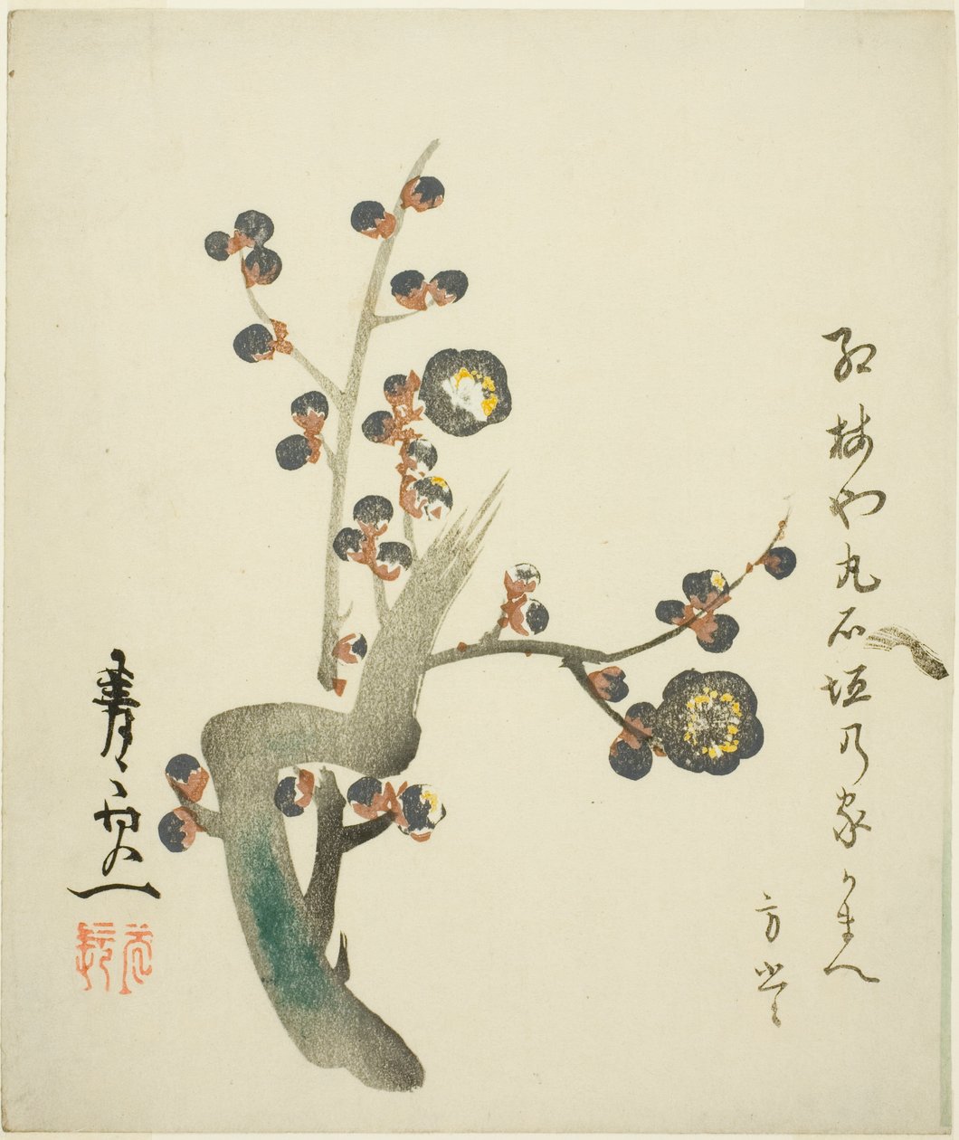 Ramo di susino rosso in fiore da Suzuki Kiitsu