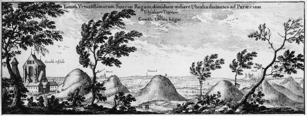 Tumuli funerari a Uppsala, Svezia da Swedish School
