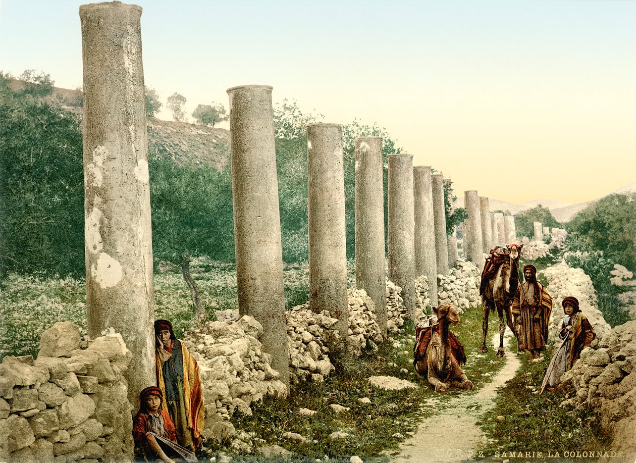 Strada colonnata romana a Samaria da Swiss Photographer