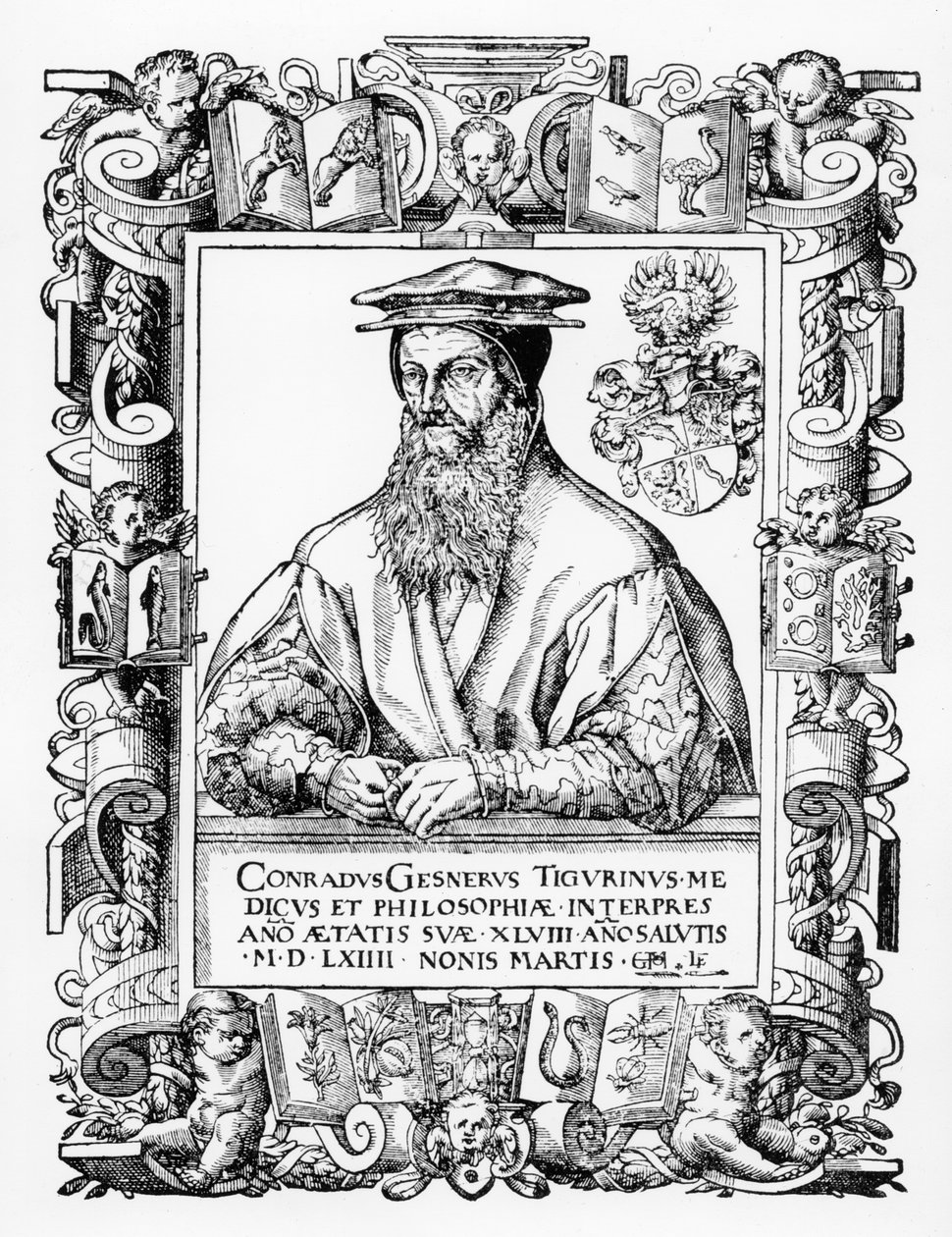 Conrad Gesner da Swiss School