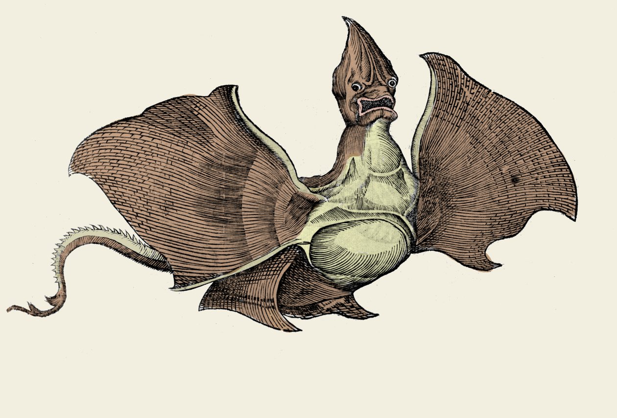 Mostro marino fantastico, illustrazione da 