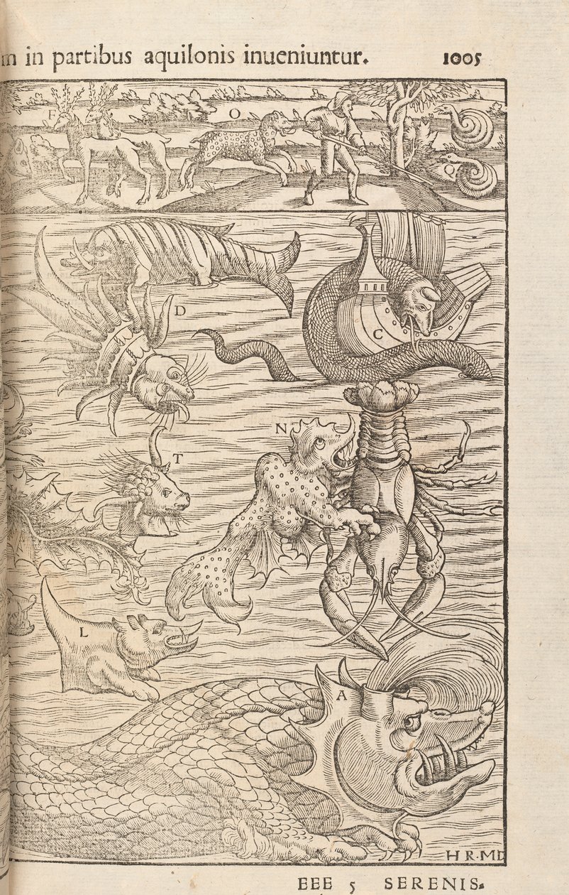 Pagina 1005 da Cosmographiae Universalis di Sebastian Muenster, Basilea, 1572 da Swiss School