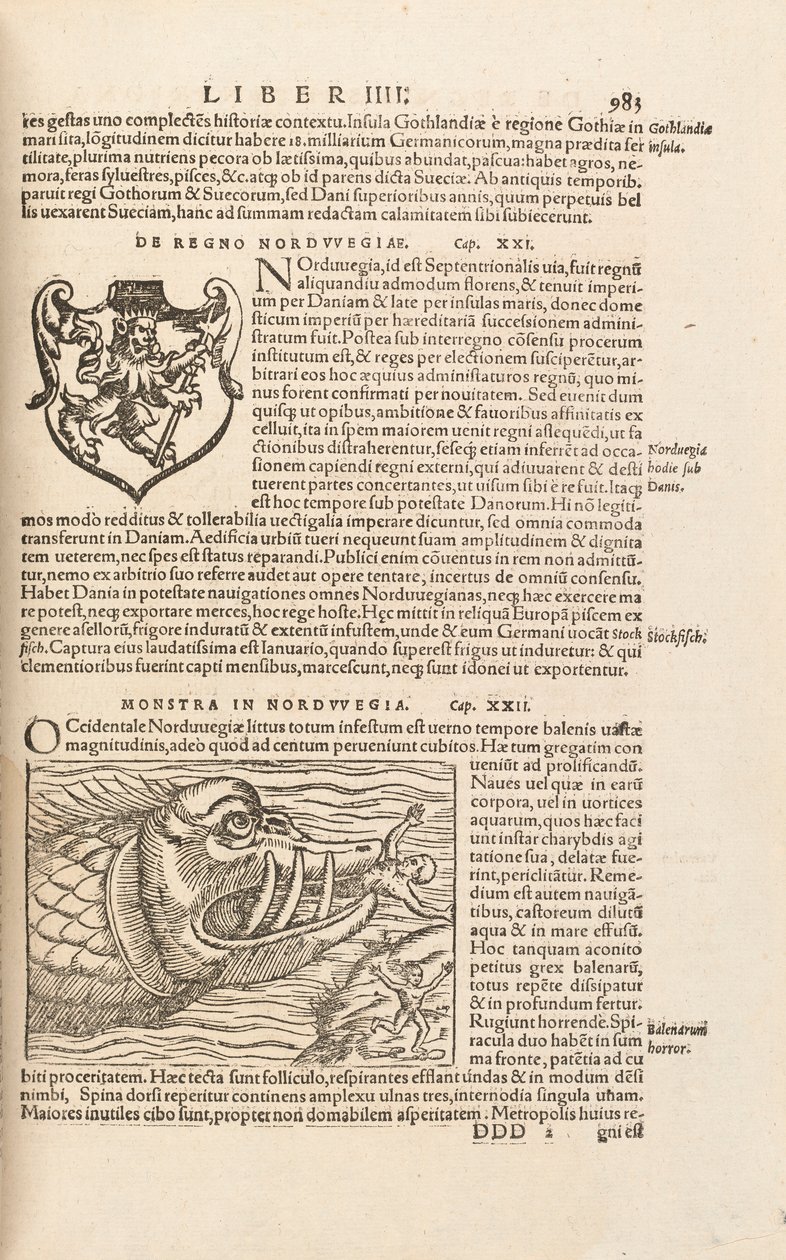 Pagina 983 da Cosmographiae Universalis di Sebastian Muenster, Basilea, 1572 da Swiss School