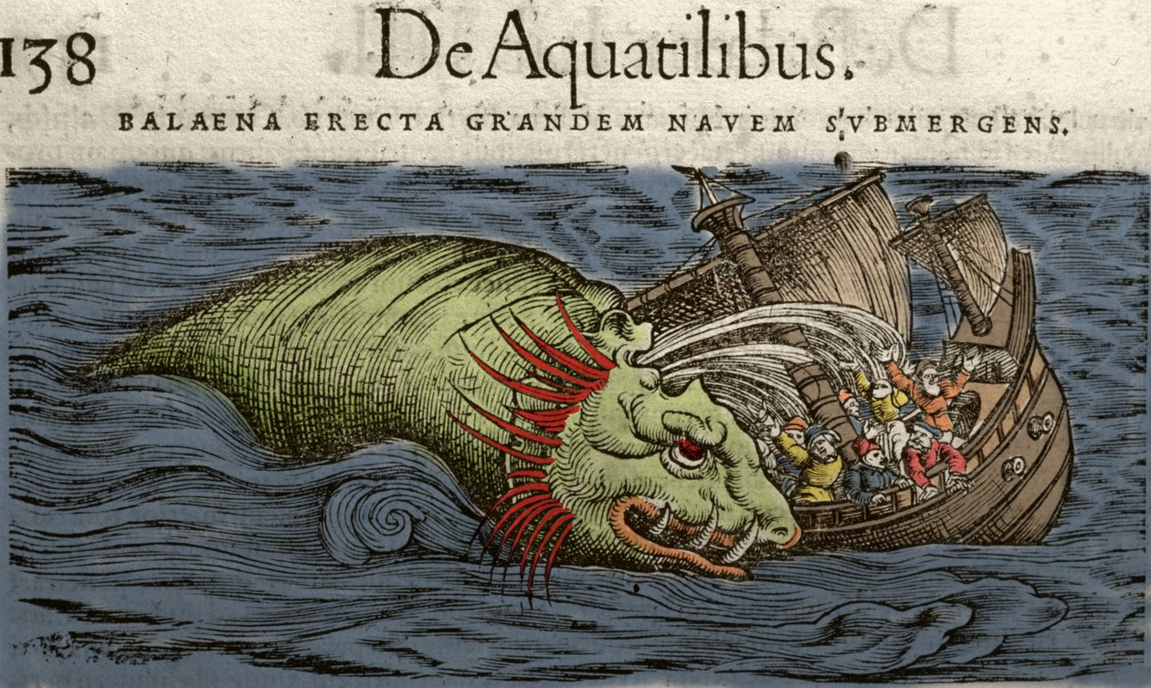 Mostro marino che attacca una nave, illustrazione da 
