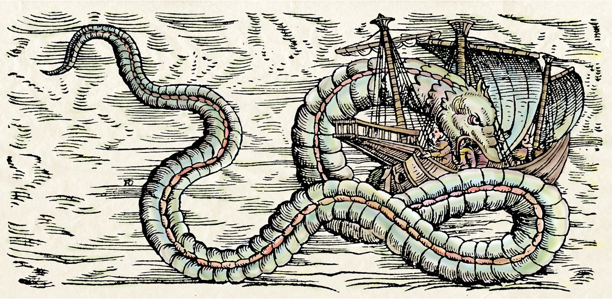 Mostro marino, illustrazione da 