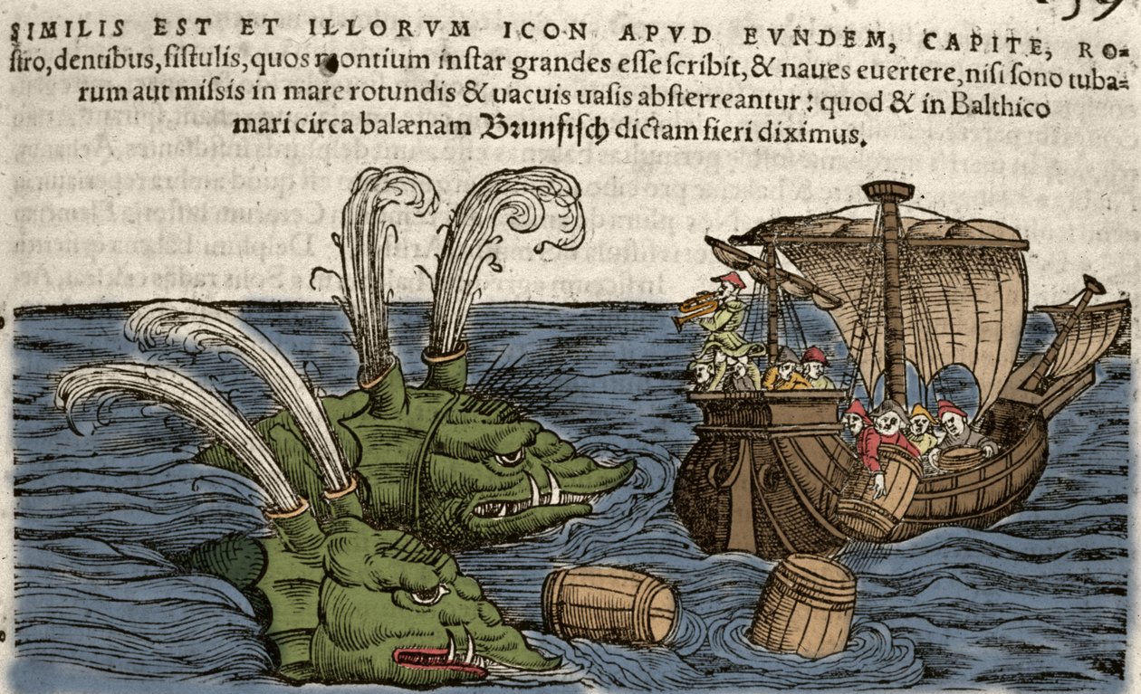 Mostri marini, illustrazione da 