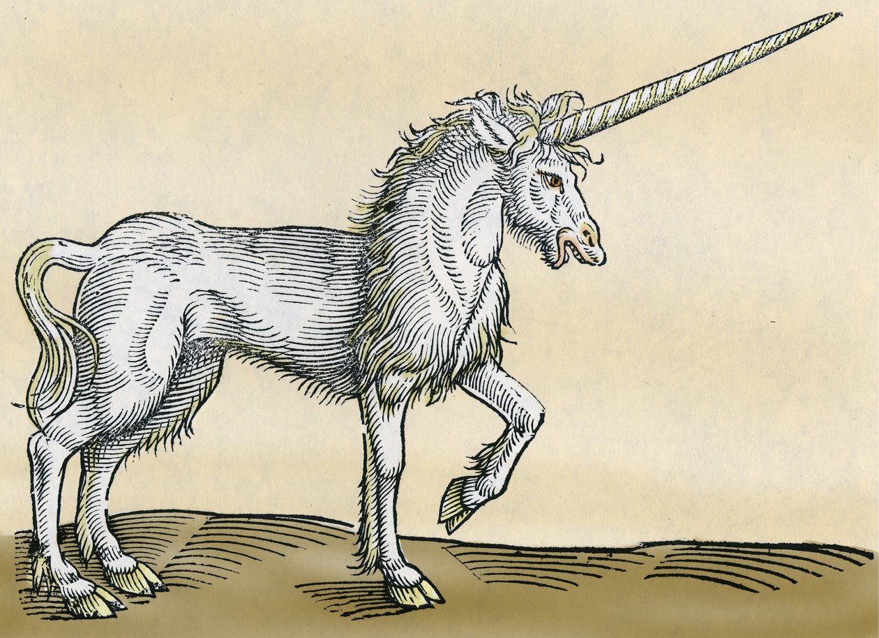 Unicorno, illustrazione da Historiae Animalium di Conrad Gesner, 1551 da Swiss School