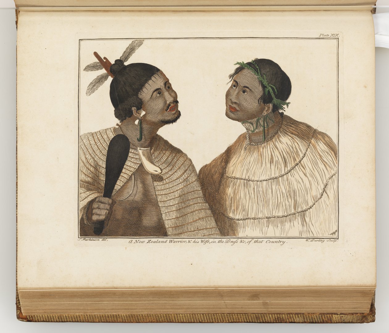 Un guerriero della Nuova Zelanda e sua moglie, illustrazione da Un diario di un viaggio nei mari del sud: sulla nave di Sua Maestà, l