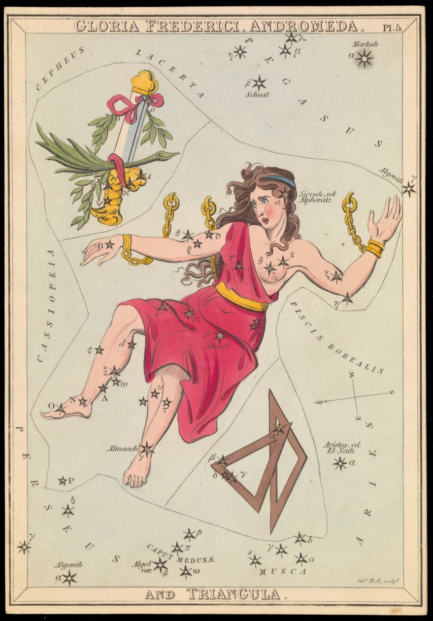 Gloria Frederich, Andromeda e Triangula, c.1825 da Sydney Hall