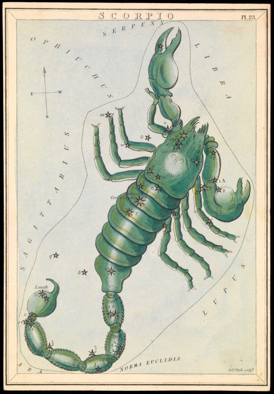 Scorpione, c.1825 da Sydney Hall