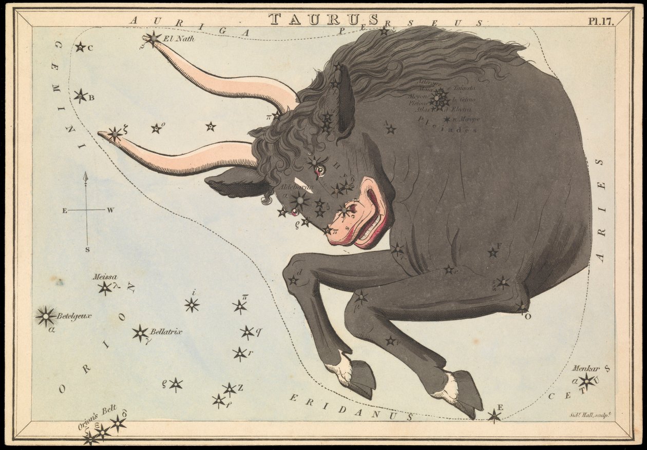 Toro, c.1825 da Sydney Hall
