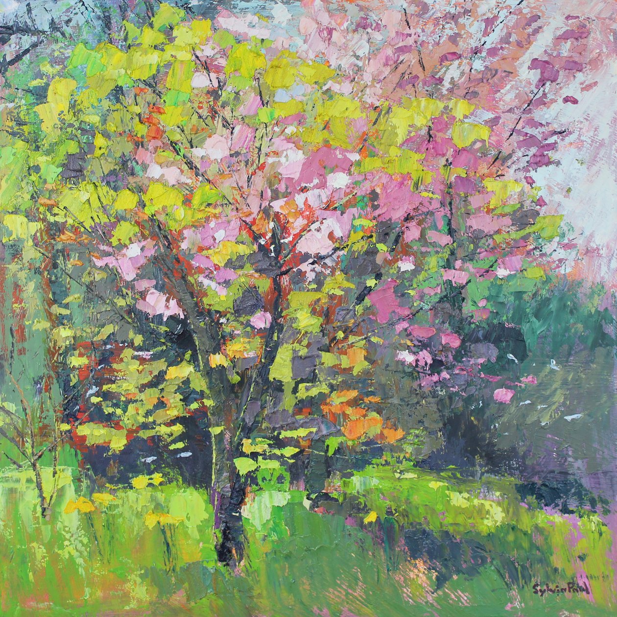 Delizia di fiori da Sylvia Paul