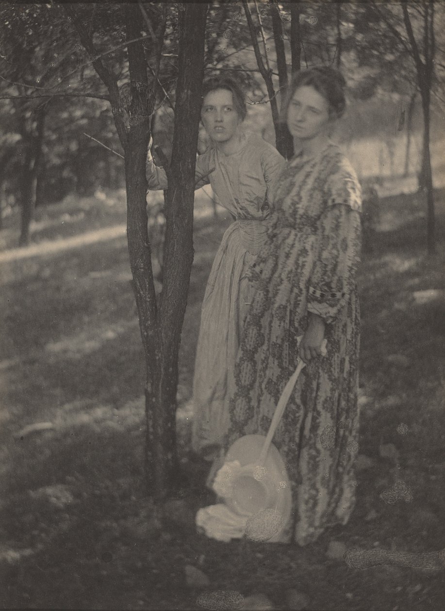 Nel bosco, c. 1899 (foto) da T. M. Edmiston