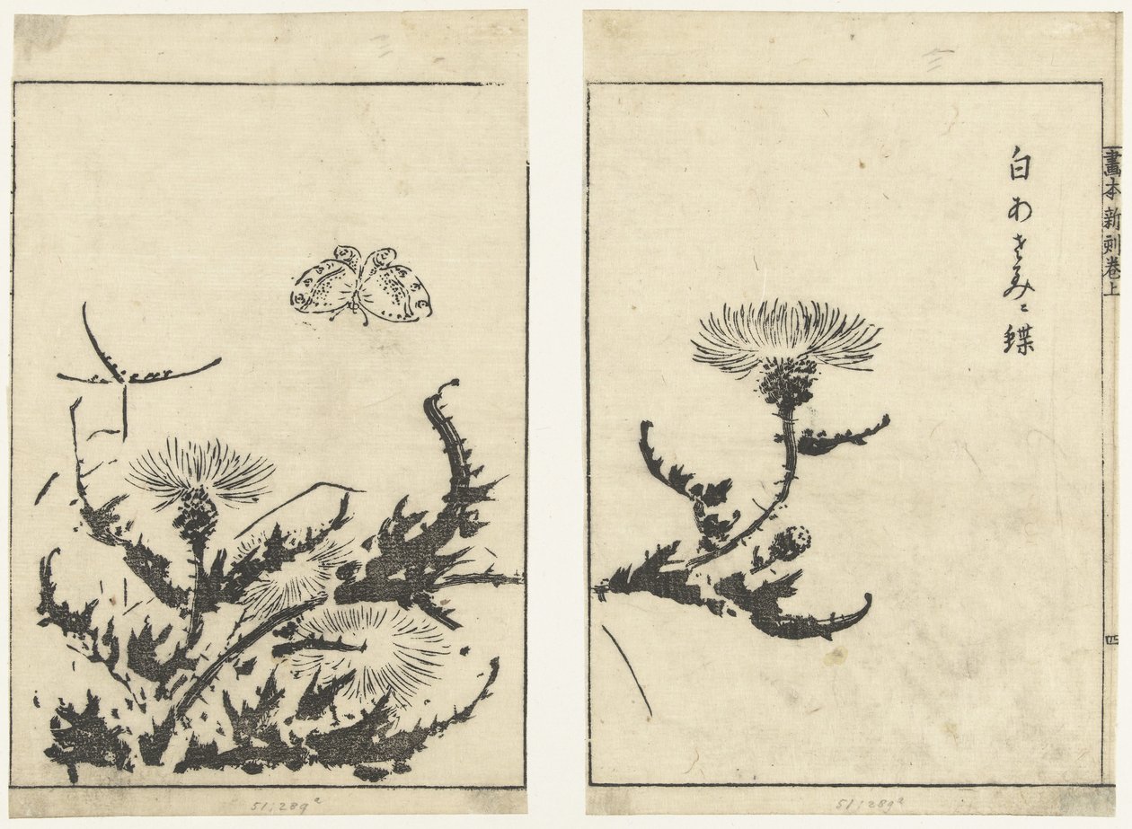 Cardi e farfalla (Gahon shinkoku makiage) da Tachibana Morikuni (attributed to)