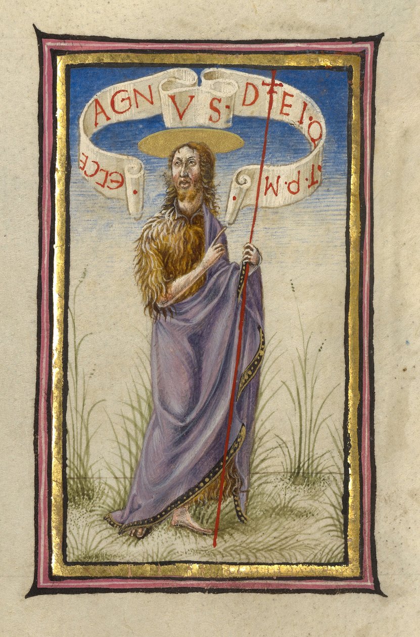 San Giovanni Battista da Taddeo Crivelli