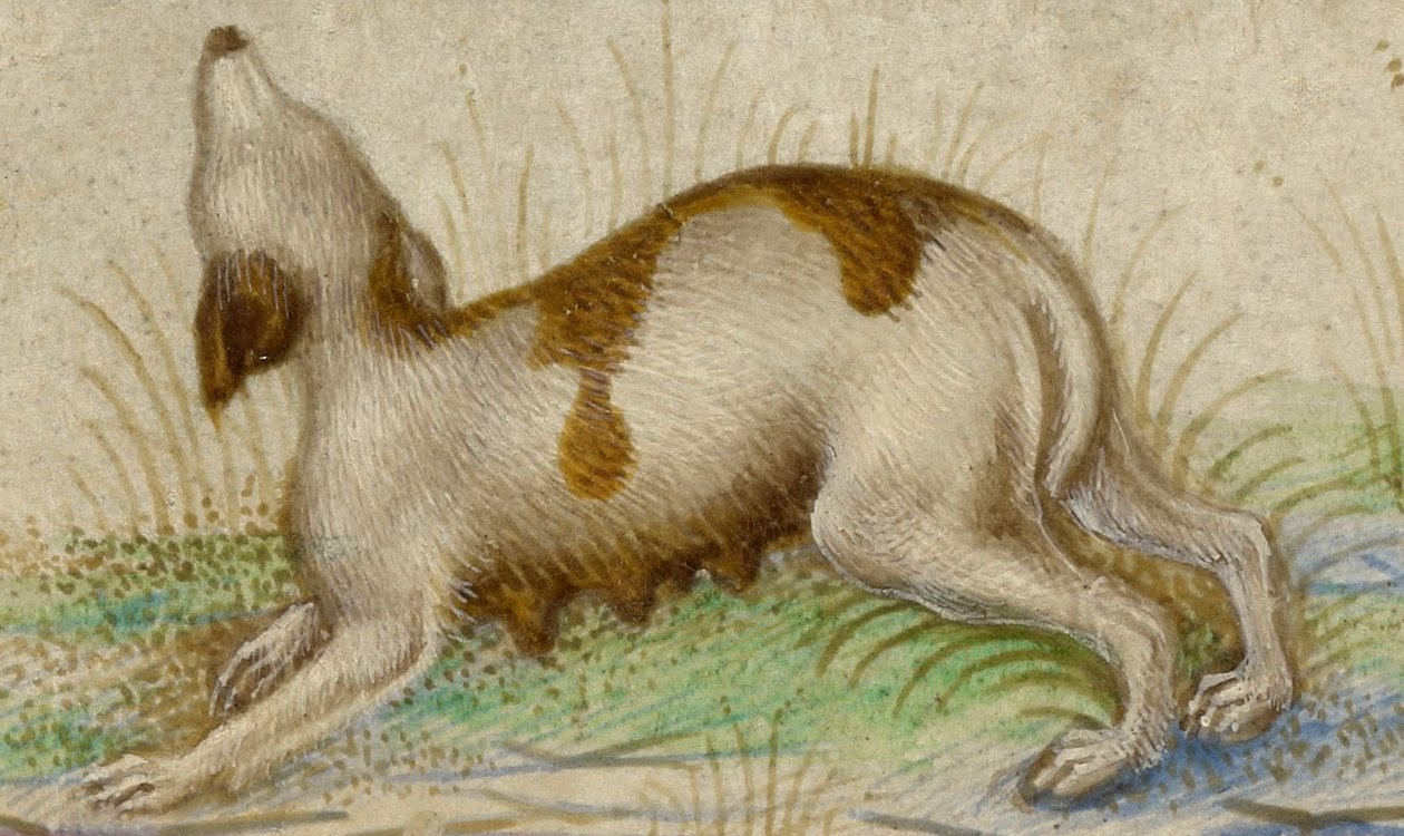 Ore da Taddeo Crivelli