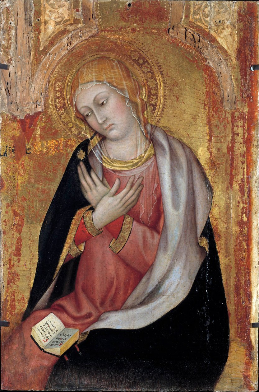 La Vergine dell