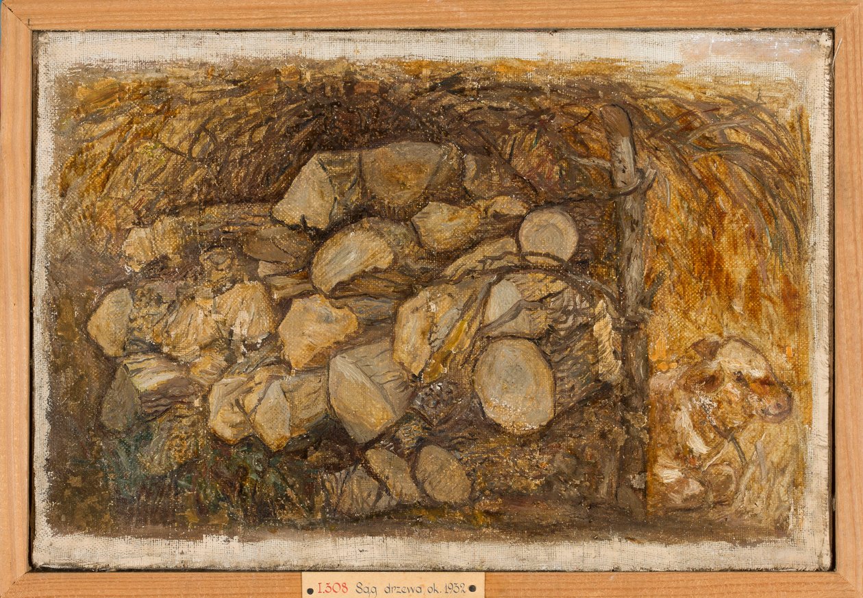 Catasta di legna da Tadeusz Makowski