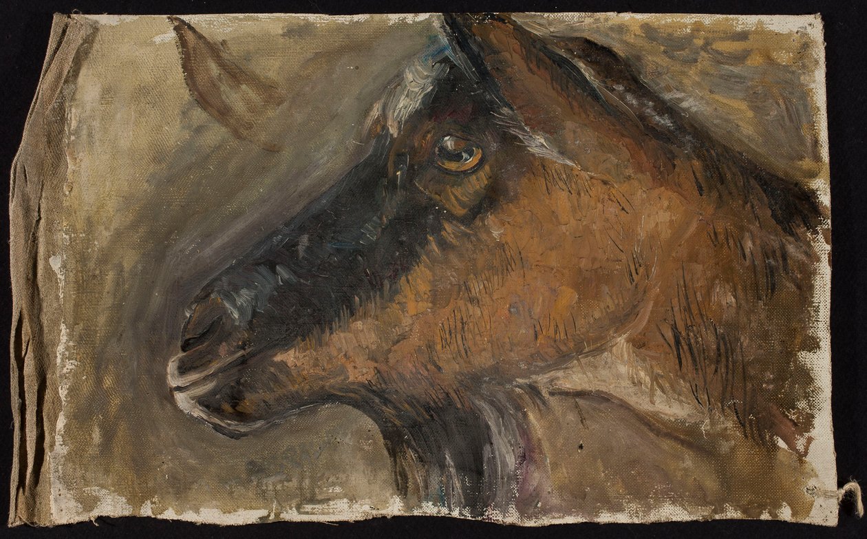 Studio della testa di una capra da Tadeusz Makowski