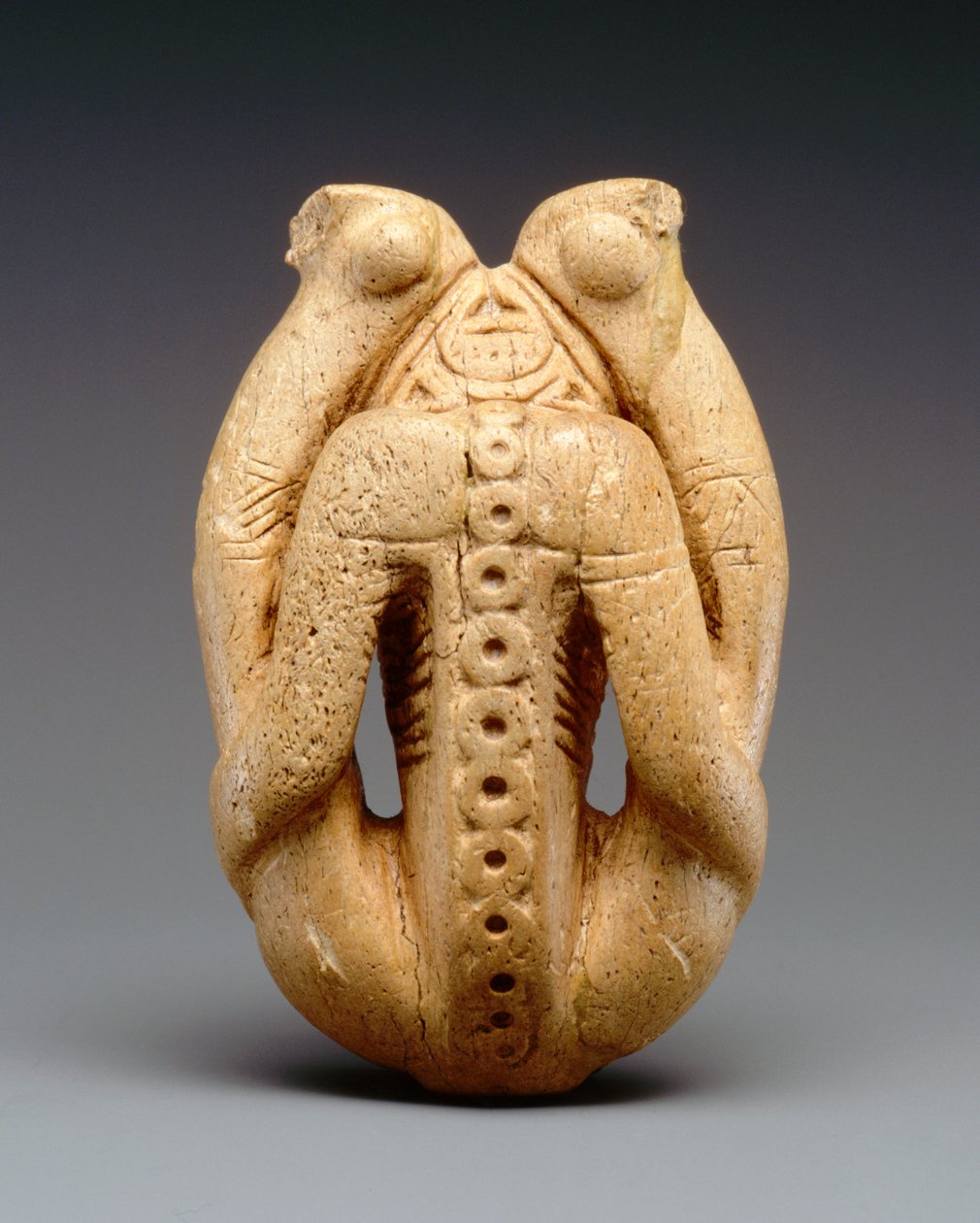 Inalatore di Cohoba (osso di lamantino) da Taino Culture
