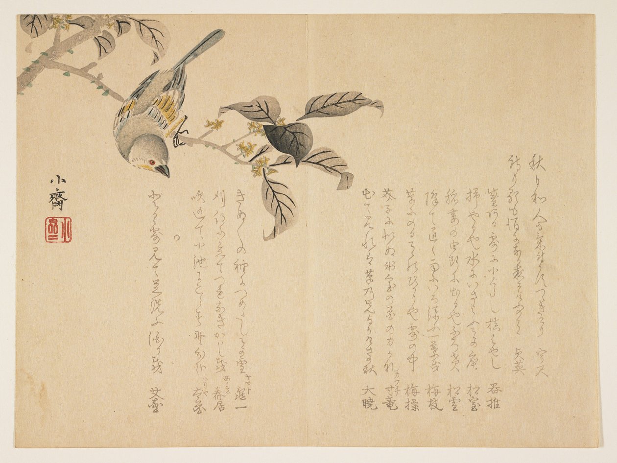 Uccello su un ramo da Tanomura Shsai