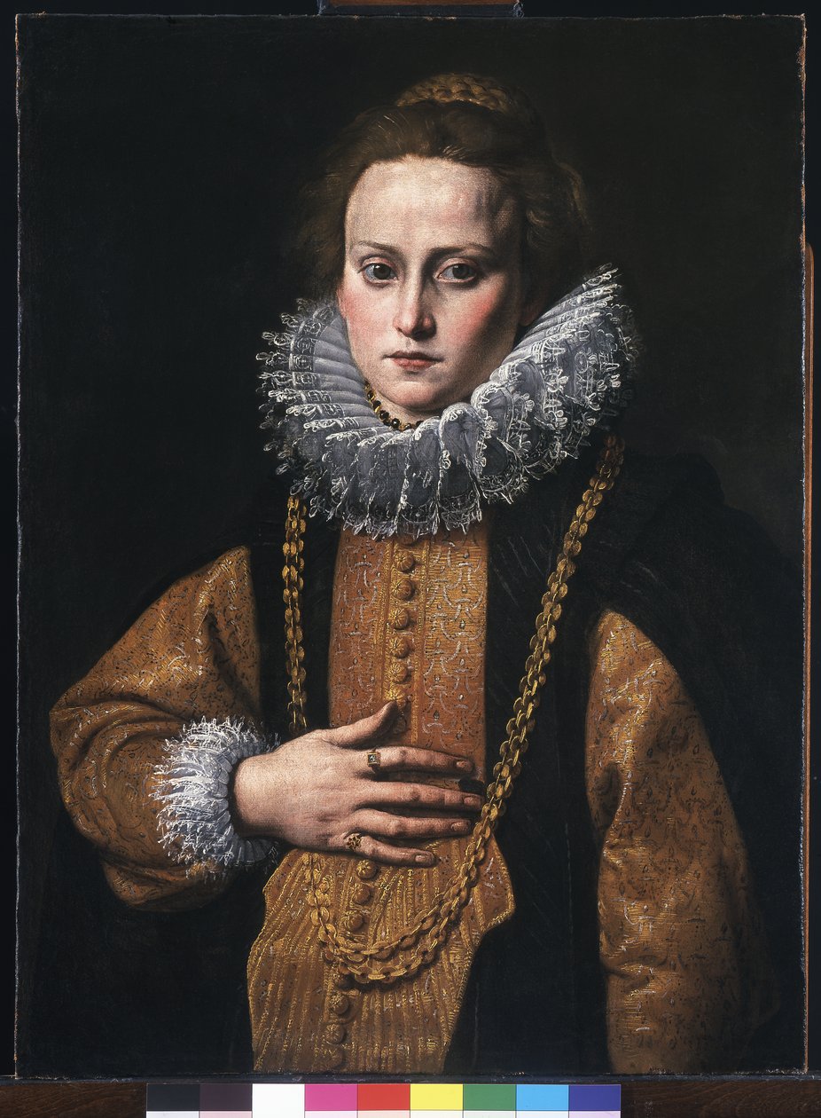 Ritratto di una signora da Tanzio da Varallo