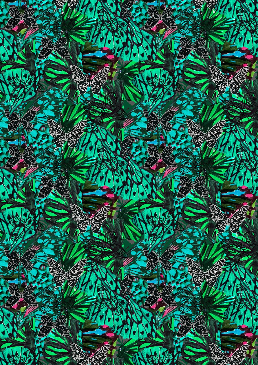 Papillon da Tara Whitehead