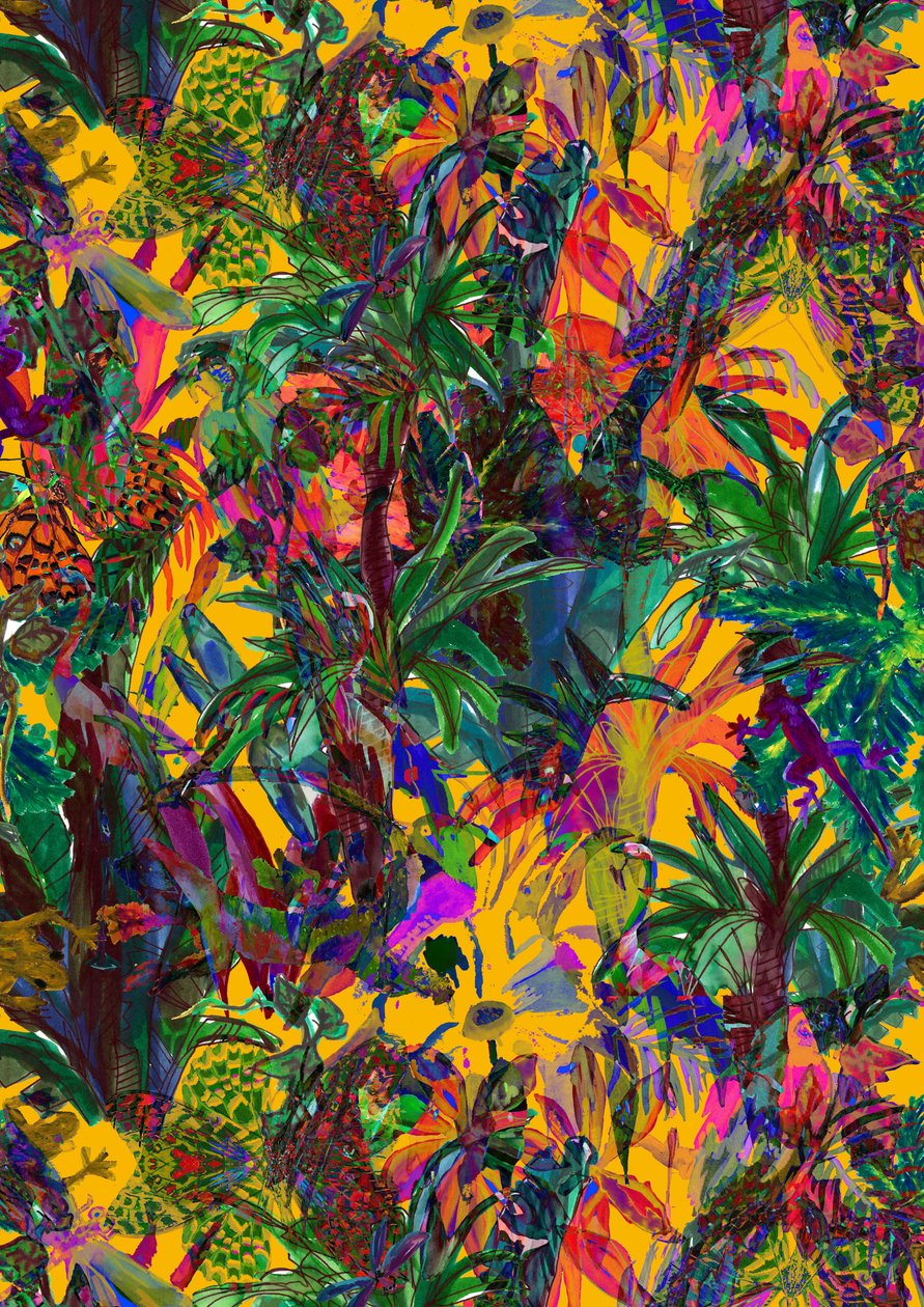 Paradiso da Tara Whitehead