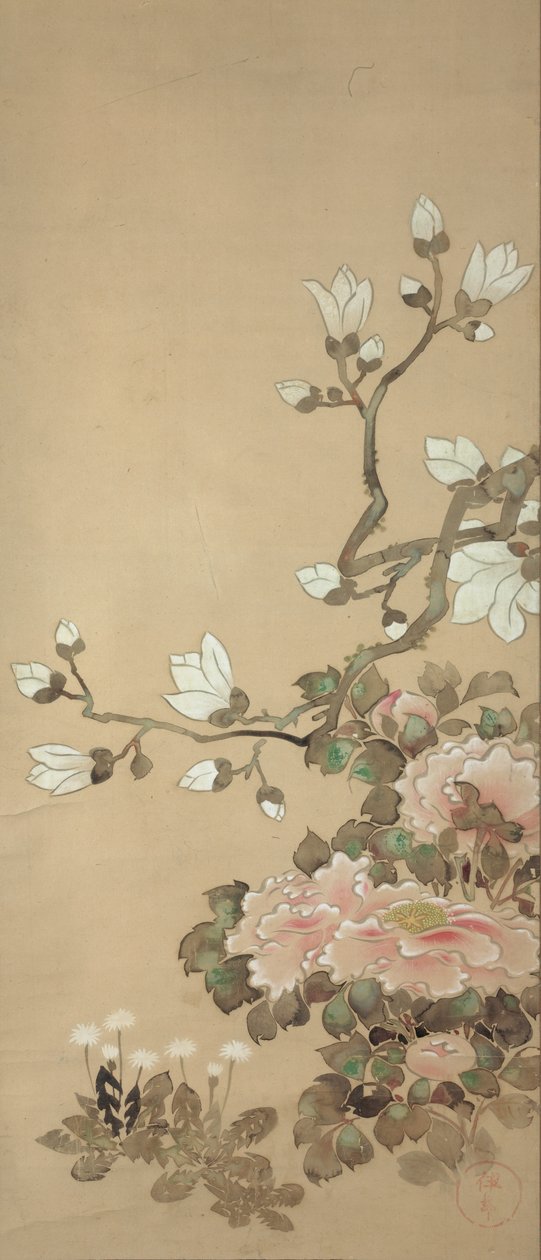 Peonie, magnolia e denti di leone da Tawaraya Sotatsu