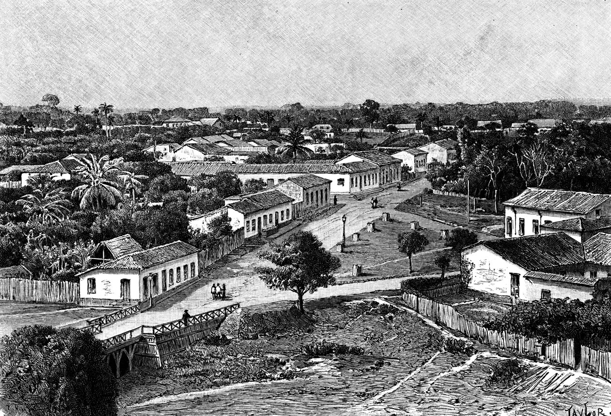 Manaos, Brasile da Taylor
