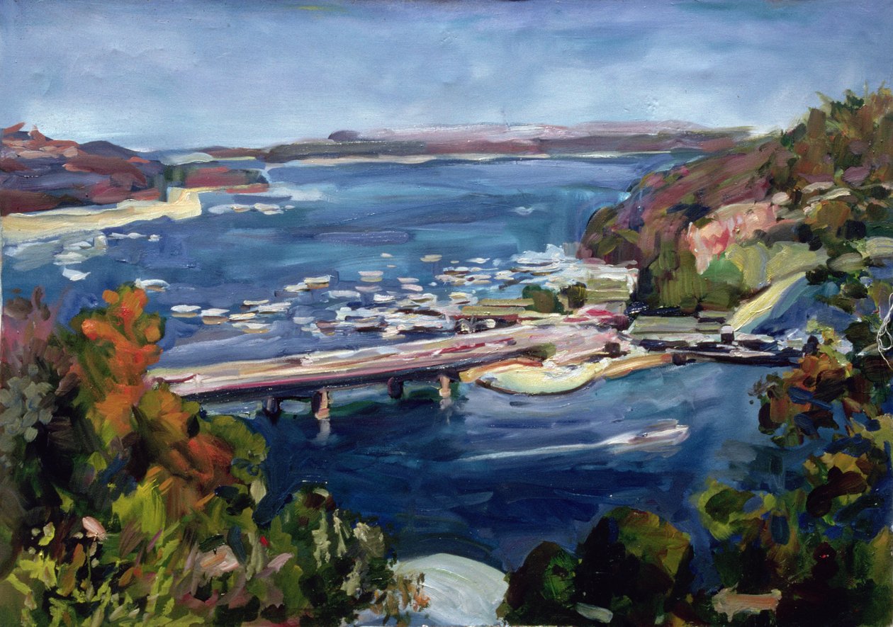 La spaccatura di Sydney, 1995 da Ted Blackall