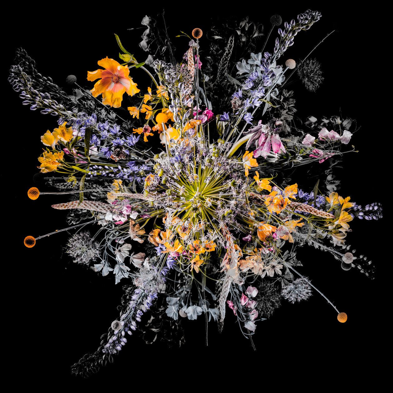 Bouquet VII, 2018 da Teis Albers