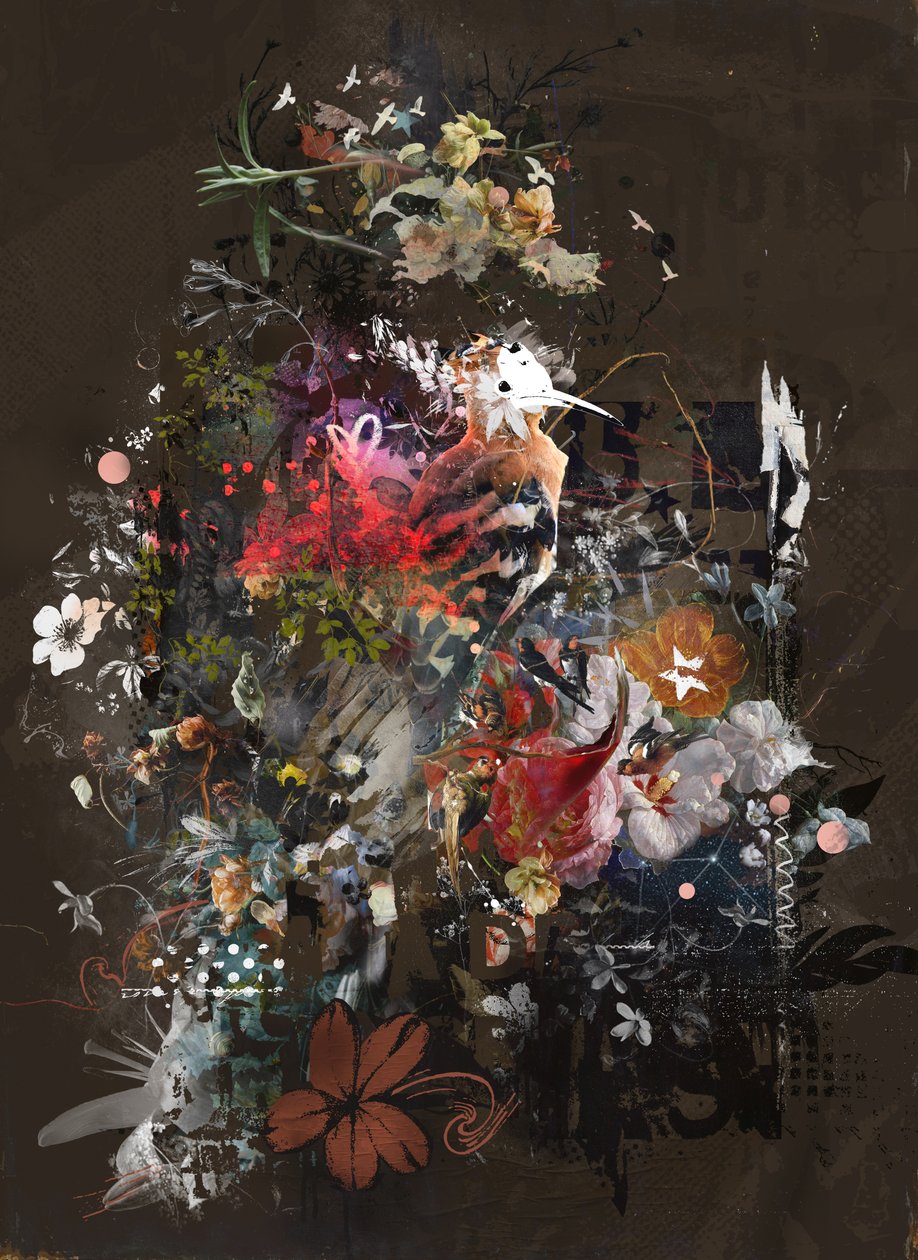 Floralies, 2018 da Teis Albers