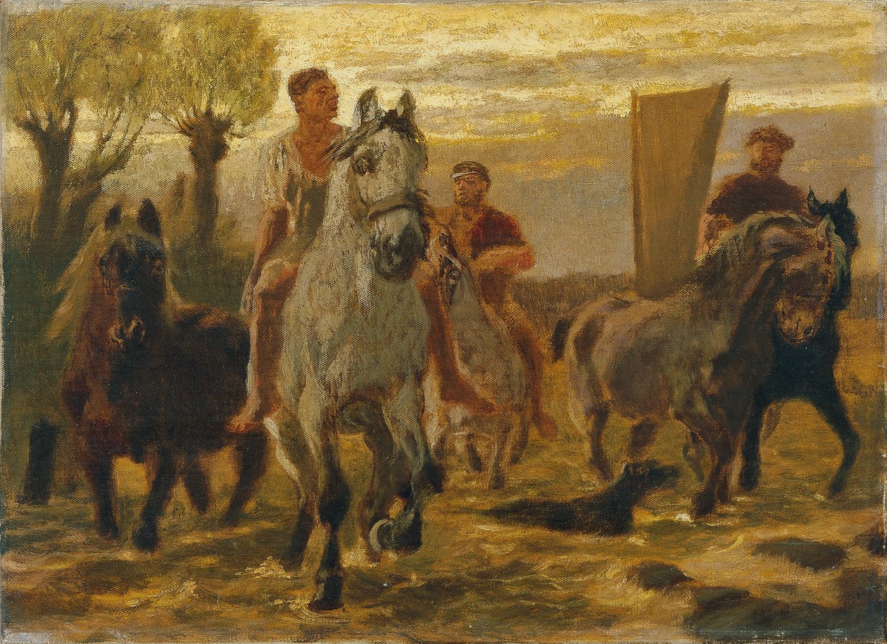 Abbeveratoio per cavalli da Teutwart Schmitson