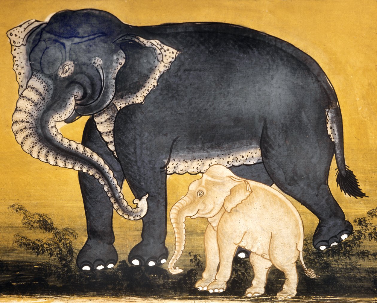 Elefante e vitello, pagina di un manoscritto sull