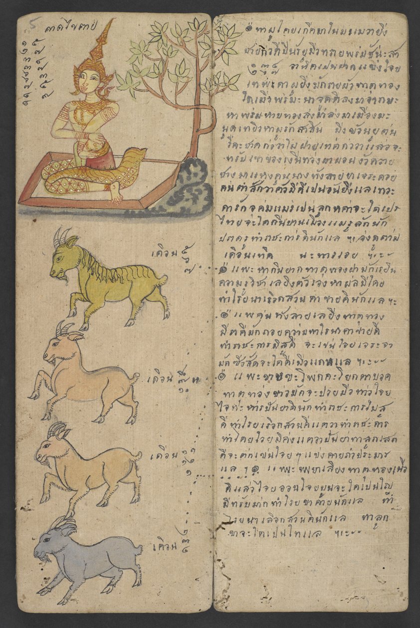 Animali dello Zodiaco, da Phrommachat (pergamena) da Thai School