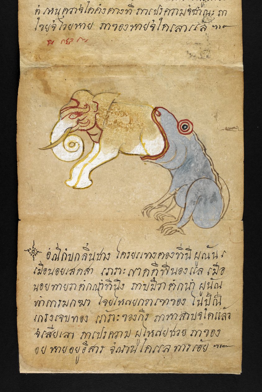 Rana che mangia un elefante, da 