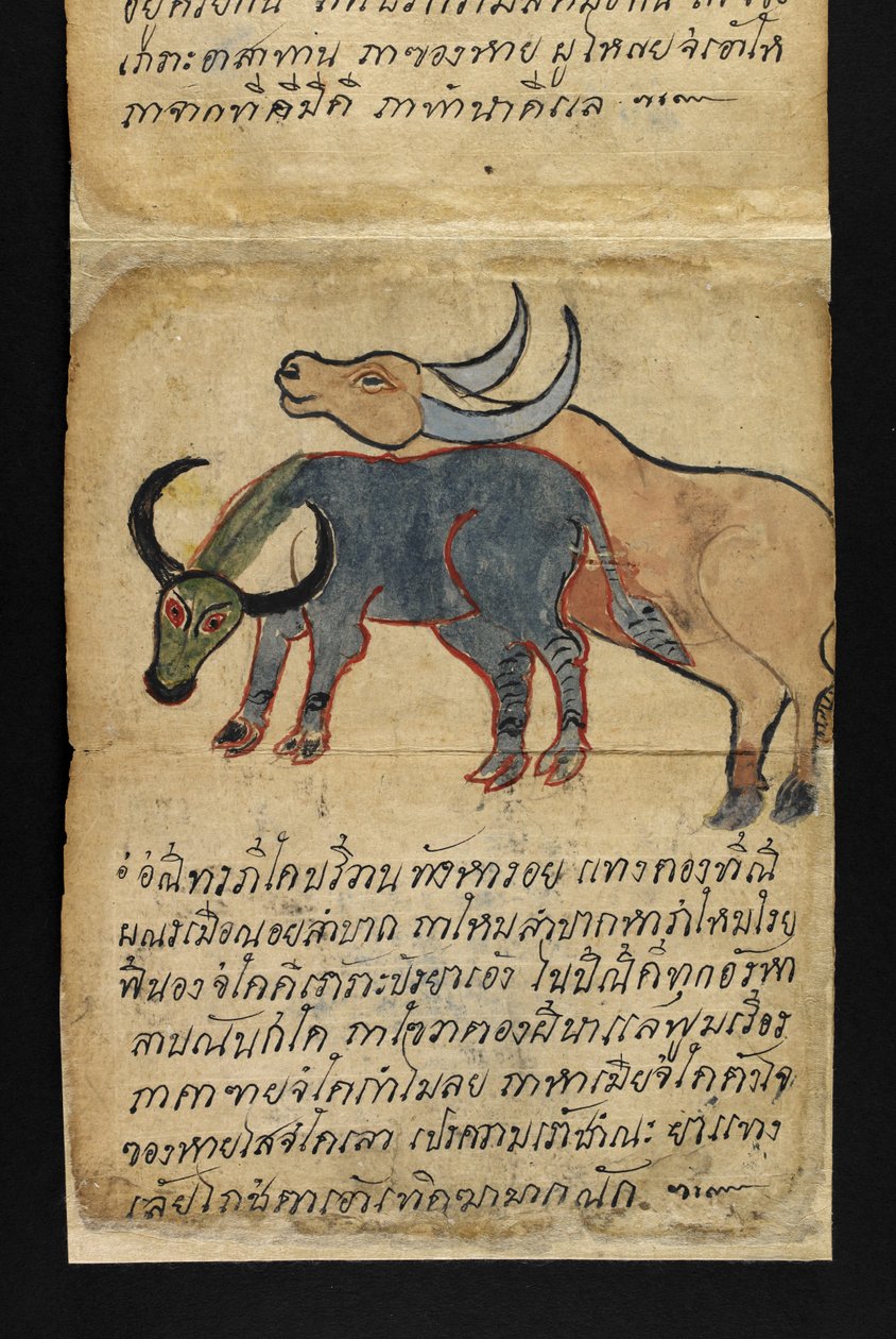 Satra, sulla divinazione e consigli per una vita felice e sana da Thai School