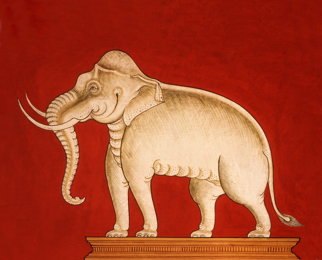 Elefante bianco, pagina di un manoscritto sull