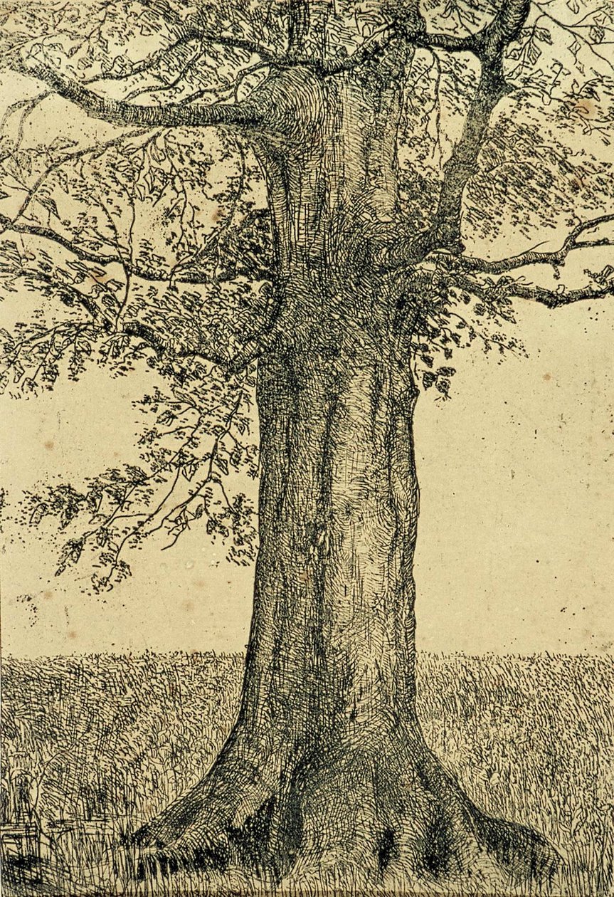 Albero da Theo van Doesburg