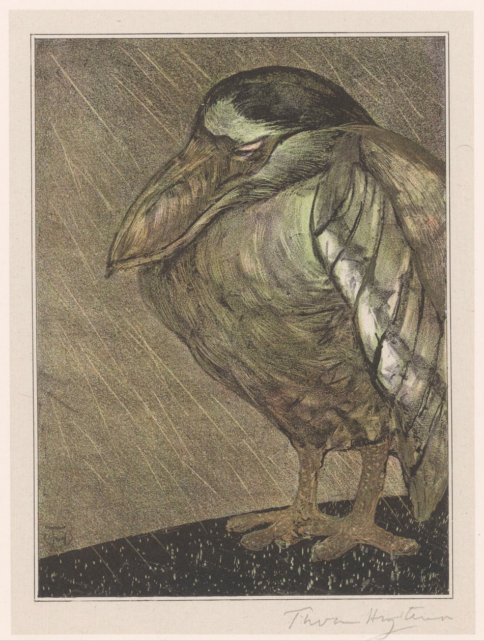 Airone in pioggia da Theo van Hoytema (signed by artist)