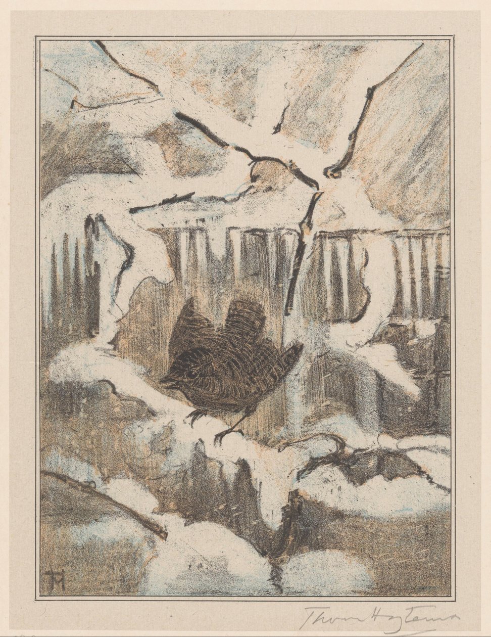 Scricciolo su ramo innevato da Theo van Hoytema (signed by artist)