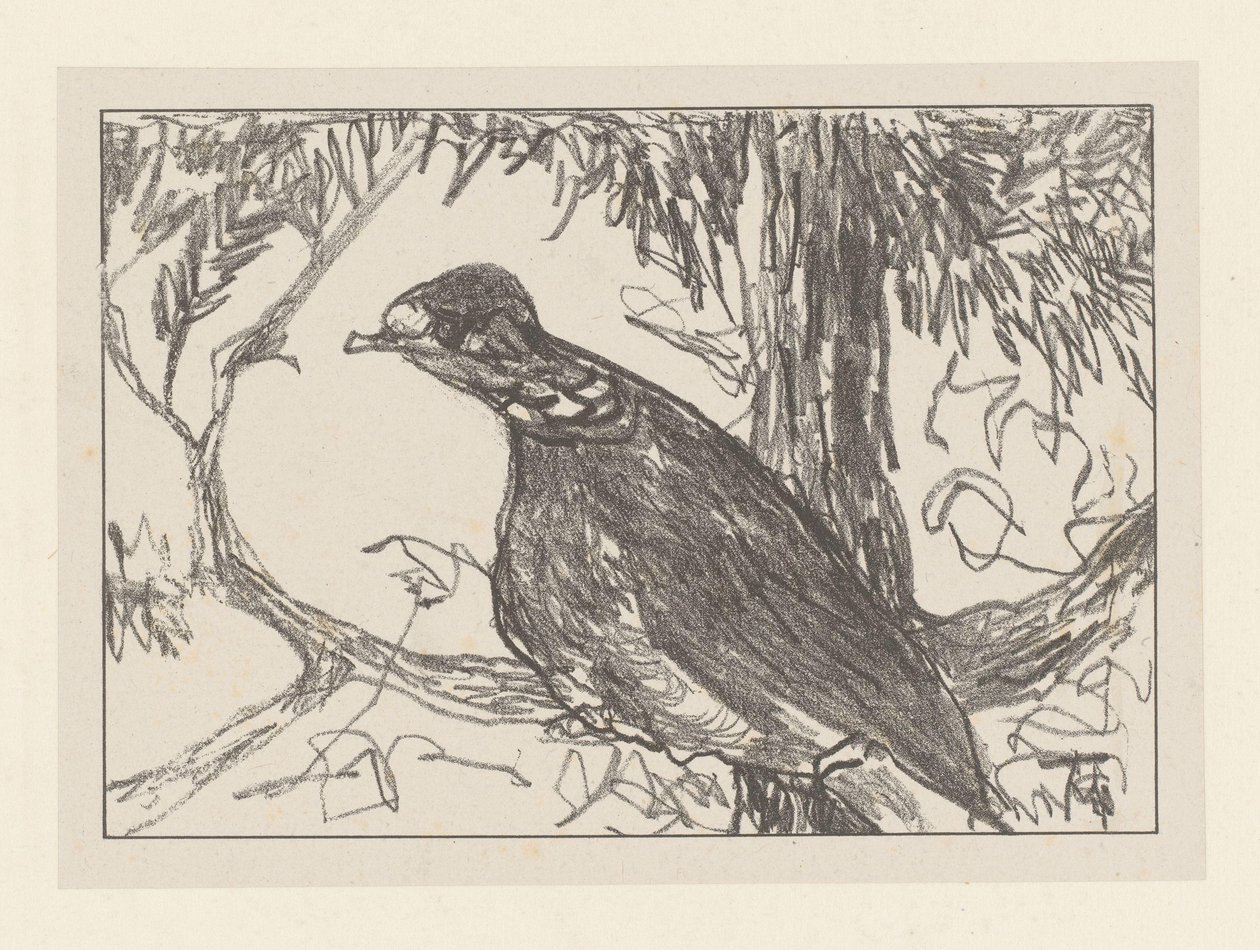 Colomba in un albero da Theo van Hoytema