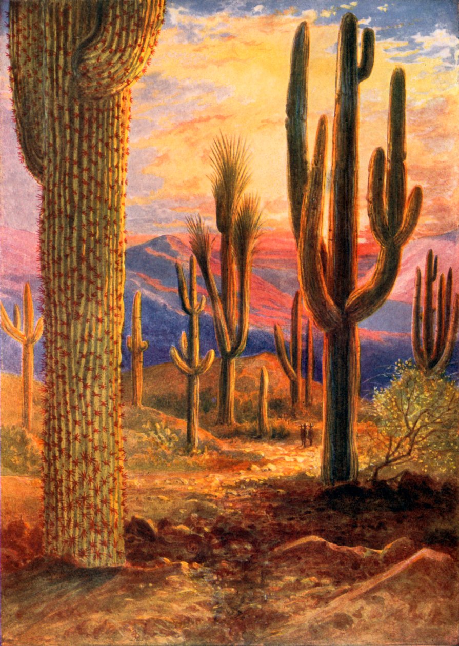 Il vincitore del deserto (litografia a colori) da Theobald Carreras