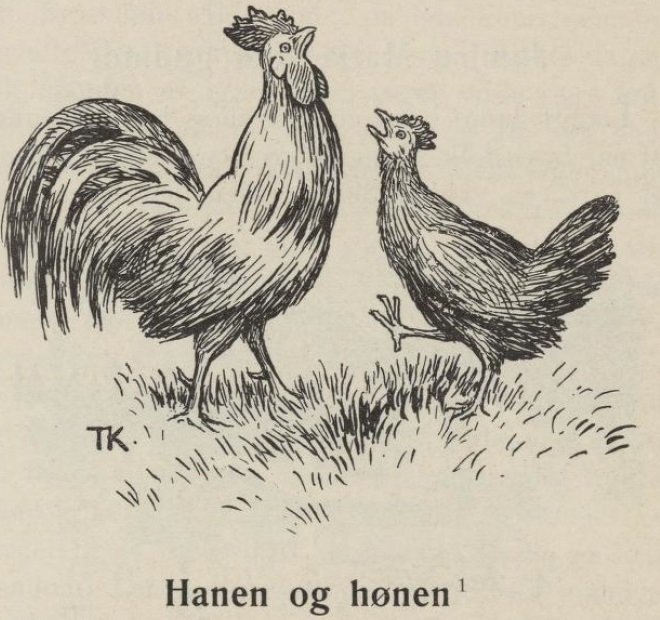 Il gallo e la gallina da Theodor Kittelsen