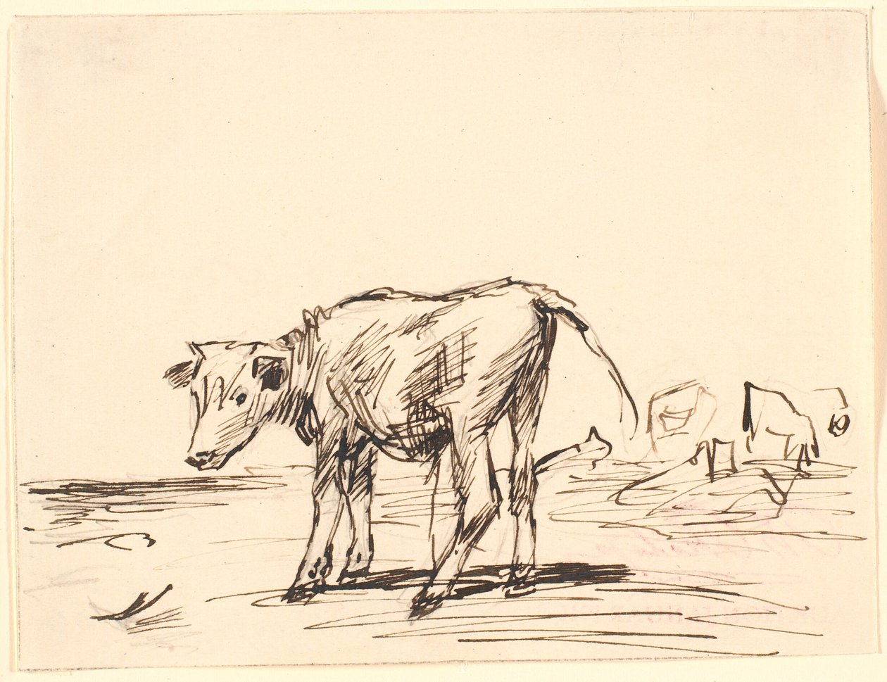 Un vitello da Theodor Philipsen