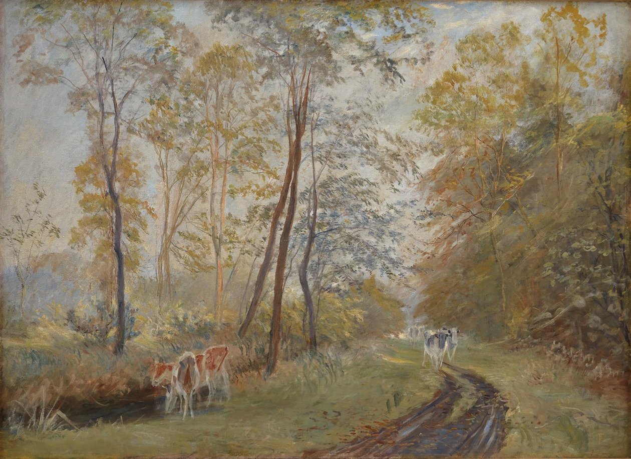 Il fiume Sorteaa vicino alla tenuta di Mejlgaard, Jutland da Theodor Philipsen